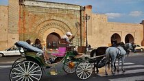 Marrakech: Horse carriage tour around the old madina with pick/up