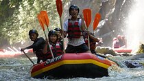 Guided Private Ubud White Water Rafting