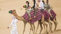 VIP Combo: Dubai City Tour, Desert Safari, and Abu Dhabi Day Trip