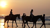 Bali Sunrise Horse Riding and Tour