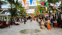 Punta Cana Shopping Tour with Transportation