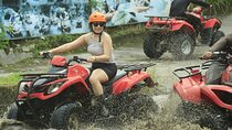 Ubud ATV Adventure included Monkey forest and Temple Tour 
