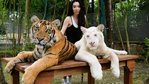 Phuket City tour with Tiger Experience (Best Seller)