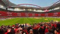 The Ultimate Benfica Match Day Experience Tour