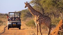 Kruger National Park 5-Day Shared Tour with Transportation