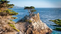 Monterey Peninsula and Carmel by the Sea Small Group Tour