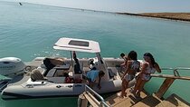Private speed boat to orange bay and white island hurghad