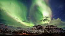 Iceland Northern Lights Tour Magical Winter Night Experience