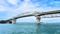 Scenic Harbour Cruise in Auckland 
