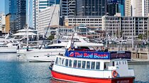 Scenic Harbour Cruise in Auckland 