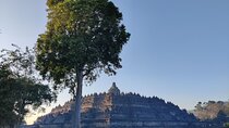 Borobudur Sunrise Tour Early Access and Temple Exploration