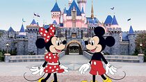 Disneyland or Disneysea Transfer to or from Tokyo English Driver