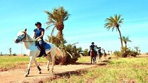 Palmeraie Grove Two Hours Horse Riding & Transfer - Marrakesh