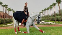 Horse Riding one hour Palmeraie Grove & Transfer - Marrakesh