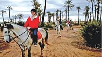 One Hour Horse Riding at Palmeraie Grove & Transfer - Marrakesh