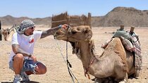 Desert & Bedouin Traditions 3 Hour Quad & Camel Ride in Hurghada