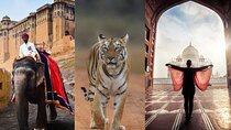 7 Days Golden Triangle Tour with Ranthambore and Udaipur