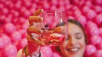 Porto: Pink Palace - Immersive Rosé Wine Museum with 5 Tastings
