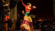 Malaga Gastronomic and Cultural Tour: Tapas, Wine & Flamenco