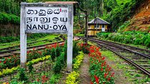 Kandy To Nanuoya Station (Nuwaraeliya) to catch the Ella train