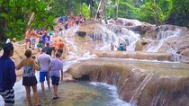 Dunn’s River Falls Adventure from Montego Bay