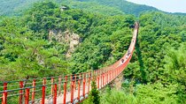 Seoul DMZ Tour with 3rd Tunnel and Red Suspension Bridge