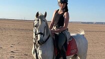 Sunrise Horse Riding 2H Sea and Desert with Transfer - Hurghada