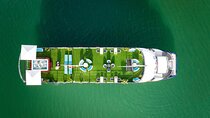 Halong Bay Day Trip Luxury Cruise With Jacuzzi and Buffet Lunch