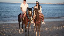 2H Sunrise Horseback Ride Sea & Desert With Transfer - Hurghada