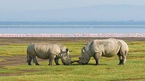 One Day Tour to Lake Nakuru from Nairobi 4WD