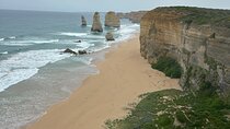 Great Ocean Road and 12 Apostles - Premium Day Tour Small Group
