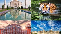 8 Day Delhi Agra Ranthambore Udaipur Jaipur Delhi Tour.