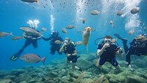Discover Scuba Diving Adventure in Tenerife