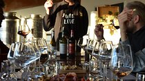Winery tour and tasting in the Chianti hills