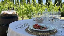 Classic: Tuscan Vineyard Lunch with Wine Tasting