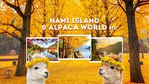 Alpaca World Tour with Nami Island (optional Railbike or Garden)