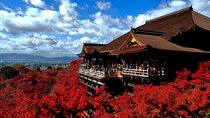 1 Day Kyoto UNESCO World Heritage Sites Bus Tour