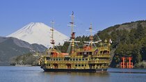 Mount Fuji and Hakone Private day trip from Tokyo