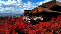 From Nagoya: Kyoto Day Tour with Pork Shabu Shabu Lunch