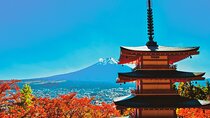 Mt Fuji and Lake Kawaguchi 1-Day Luxury Bus Tour From Tokyo 
