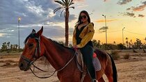 Horse Riding in Palmeraie Grove for 1 Hour & Transfer - Marrakesh