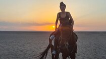 Horse Ride 1 Hour, Egyptian Show & Bedouin Dinner - Sharm Sheikh