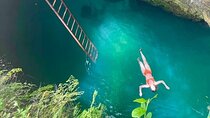 Negril Blue Hole Mineral Spring & Optional * medicine plant Tour