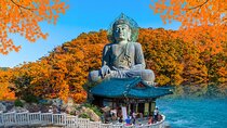 Mount Seorak and Naksansa Temple One Day Tour from Seoul