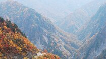 1 Day Tour from Kanazawa Tedori Gorge White Road and Shirakawa Go