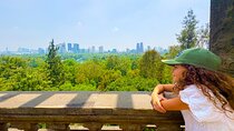 Chapultepec Castle & forest: History, Nature, and Hidden Secrets