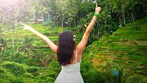 Ubud Tour Package: Waterfall, Tirta Empul Temple, Rice Terrace 