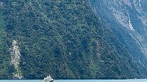 Milford Sound Private Day Trip from Queenstown via Te Anau