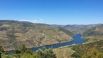 Full-day private Douro Valley Tour from DE Lisbon