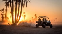 Buggy Adventure in Palmeraie Palm Grove with Transfer – Marrakesh